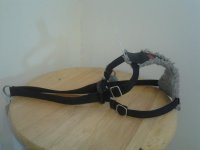 20120405_140101.jpg