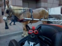 IMG_20120407_200727.jpg