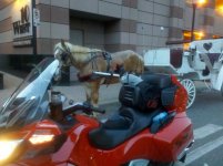 IMG_20120407_200650.jpg