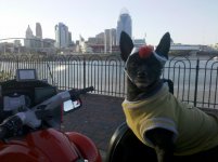 IMG_20120408_190850.jpg
