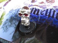 IMG_0545.jpg