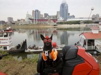 IMG_20120417_130734.jpg
