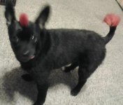 20120129_200658-1.jpg