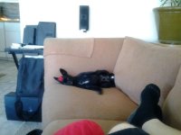 20120419_165517.jpg