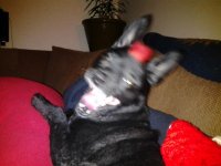 20120419_205858.jpg