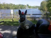 IMG_20120423_131635.jpg