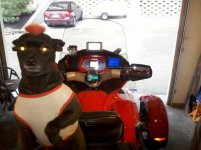 IMG_20120425_184902.jpg