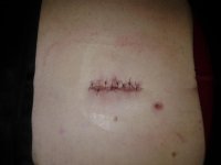 20120426_145641.jpg