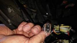 headlight plug 1.jpg