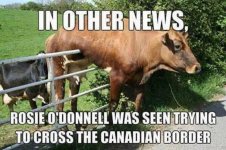 Rosie sneaking into Canada.jpg