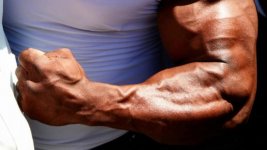 forearm.jpg
