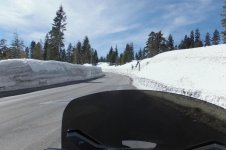 DSCF7123.jpg