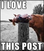 love this post.jpg