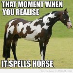 Horse.jpg