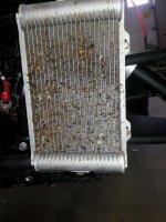 Left radiator before.jpg