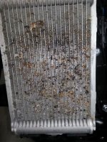 Right radiator before.jpg Right radiator before.jpg