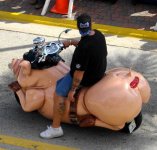 hog.jpg