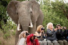 photobomb-animali-222-660481.jpg