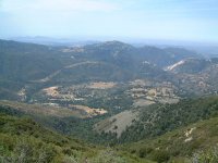 palomar-top.jpg