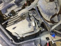 IMG_7054[1].jpg