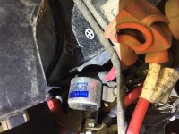 IMG_7055[1].jpg