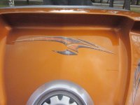 Carbon Fiber License Plate 004.jpg