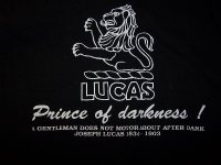 Lucus%20and%20Oscar%20001.jpg