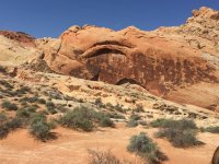 IMG_0709.jpg