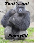 Ape Not Funny.jpg