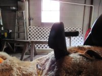 Backrest 002.jpg