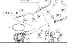 fuel line.jpg
