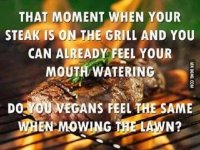 What Do Vegans Think.jpg