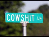 Live Here.jpg