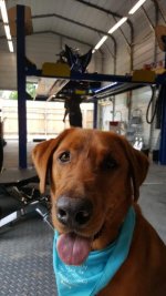 20160529_100703.jpg