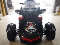 DSCF7183.jpg