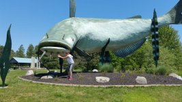 Mudcat - small size.jpg