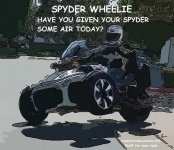 spyder wheelie toon.jpg