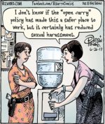 Open Carry.jpg
