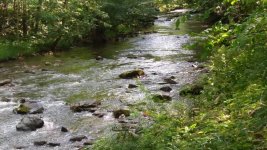 IMG_20170624_165409500.jpg
