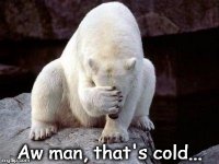 That's cold.jpg