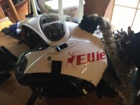 Ellies Helmet.jpg Ellies Helmet.jpg