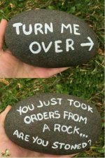 Stoned.jpg