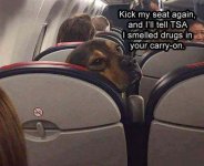 Kick my Seat Again.jpg