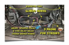 gl-horns.jpg