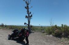 DSCF7413.jpg
