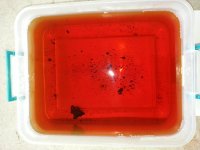 20170712_100203.jpg