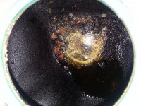 20170712_100244.jpg