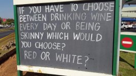 Red or white.jpg