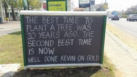 Best time to plant a tree.jpg