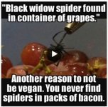 Vegan.jpg